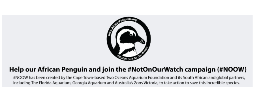 Picture of The Rise of Sustainable Condos: Eco-Friendly Living in the Philippines