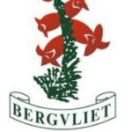 Group logo of Bergvliet Primary School